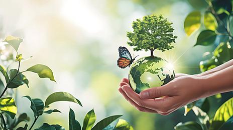 image représentant une main tenant une planète avec un arbre dessus et un papillon